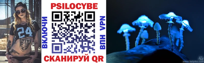 Псилоцибиновые грибы Psilocybe  где найти наркотики  Шилка 